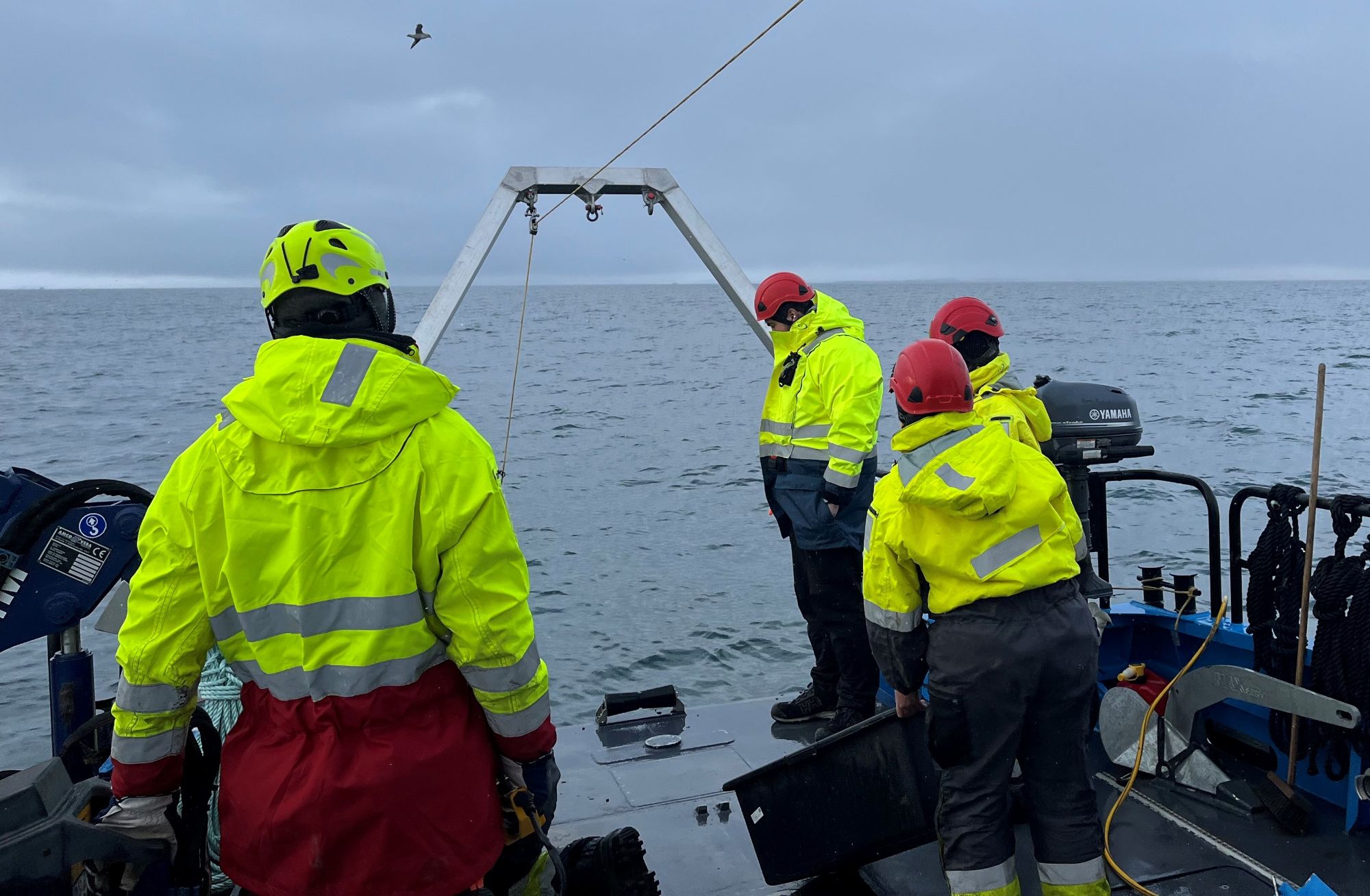 Researchers are looking for ways to produce hydrogen from Arctic microbes